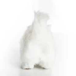 The Queen's Treasures White Long Hair Kitty Cat Pet For 18 Inch Dolls 17 The Queen's Treasures White Long Hair Kitty Cat Pet For 18 Inch Dolls -Children Products Store GUEST 19871a77 a17e 4a58 8870 69fb0e358937