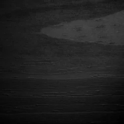 Twin Fakto Solid Wood Bunk Beds Matte Black - South Shore -Children Products Store GUEST 434e89c4 0424 4882 803c 016cb10613e9