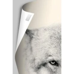 Trends International Disney Pixar Turning Red - Teaser One Sheet Unframed Wall Poster Prints 9 Trends International Disney Pixar Turning Red - Teaser One Sheet Unframed Wall Poster Prints -Children Products Store GUEST 56d31d4e 82a0 4384 abb9 92c9c4c39526