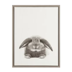 24" X 18" Rabbit Framed Canvas Art - Uniek -Children Products Store GUEST bb38d7de 7144 440b aff3 bd2a5477e6cc