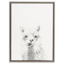 24" X 18" Alpaca Framed Canvas Art - Uniek -Children Products Store GUEST bd86ad66 d695 4b4e aa16 063fe31cd520