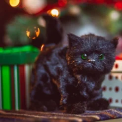 The Queen's Treasures Little House On The Prairie Black Cat For 18 In Dolls 13 The Queen's Treasures Little House On The Prairie Black Cat For 18 In Dolls -Children Products Store GUEST d45c9e1b 58bd 4431 8804 0d67bf408ed6